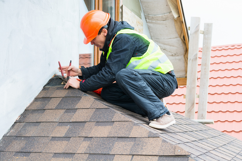 Roofers 